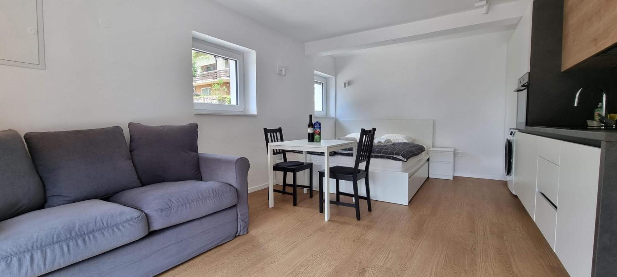 Naia Apartments Novo Mesto Extérieur photo